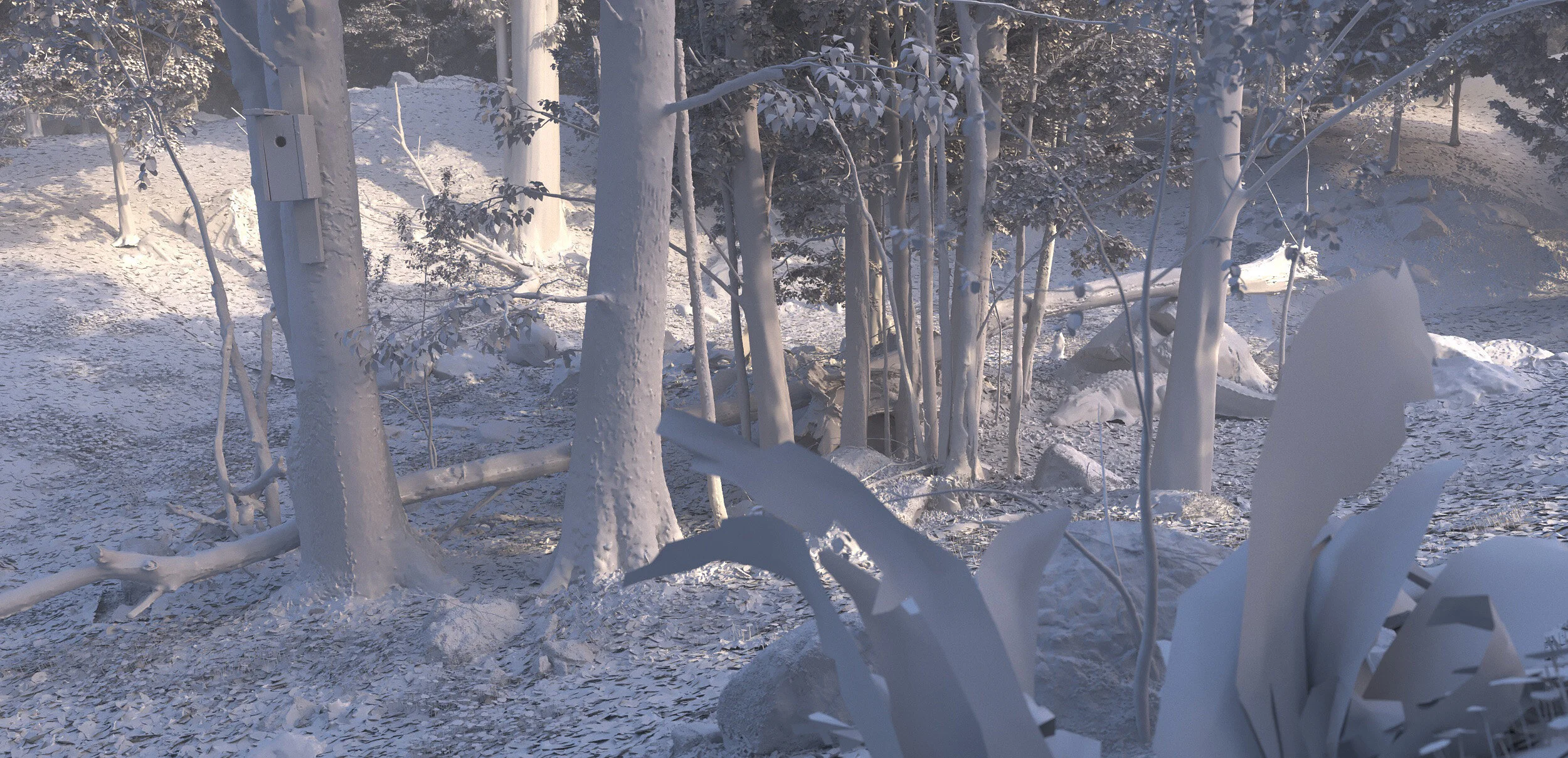 forest.jpg