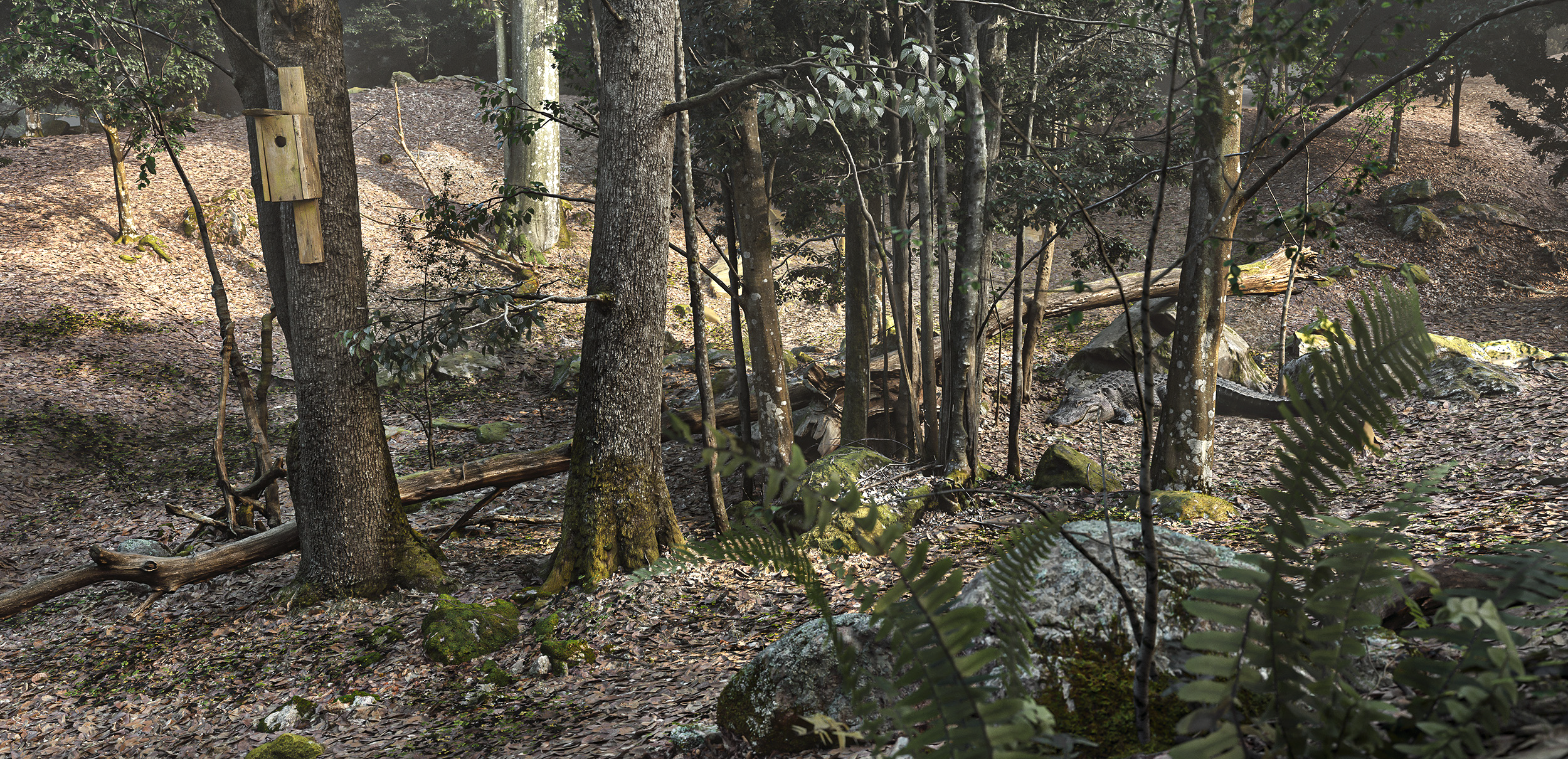 Forest+medljus new.png