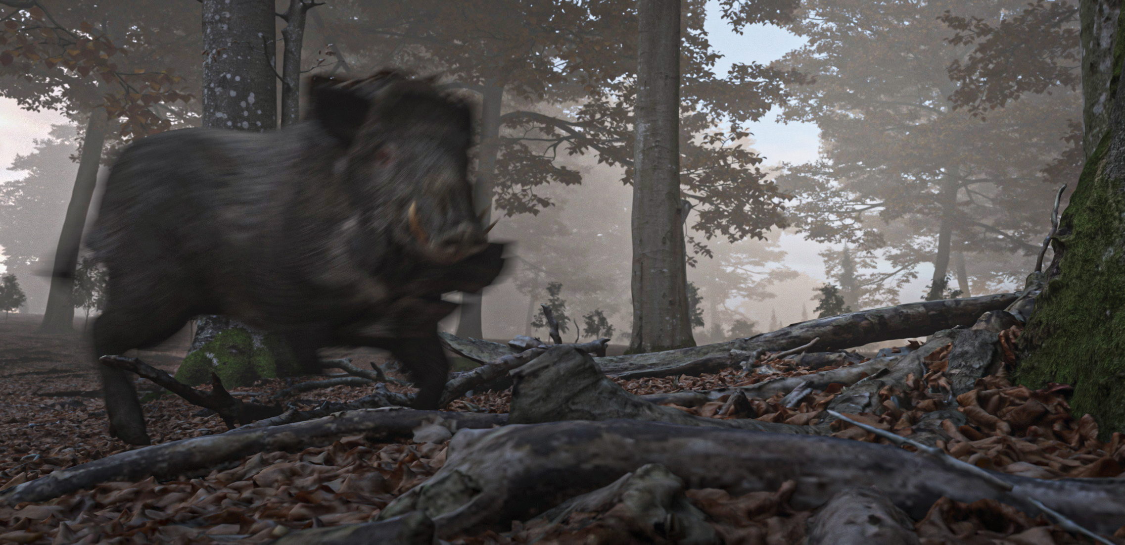 skog+boar+close new.png