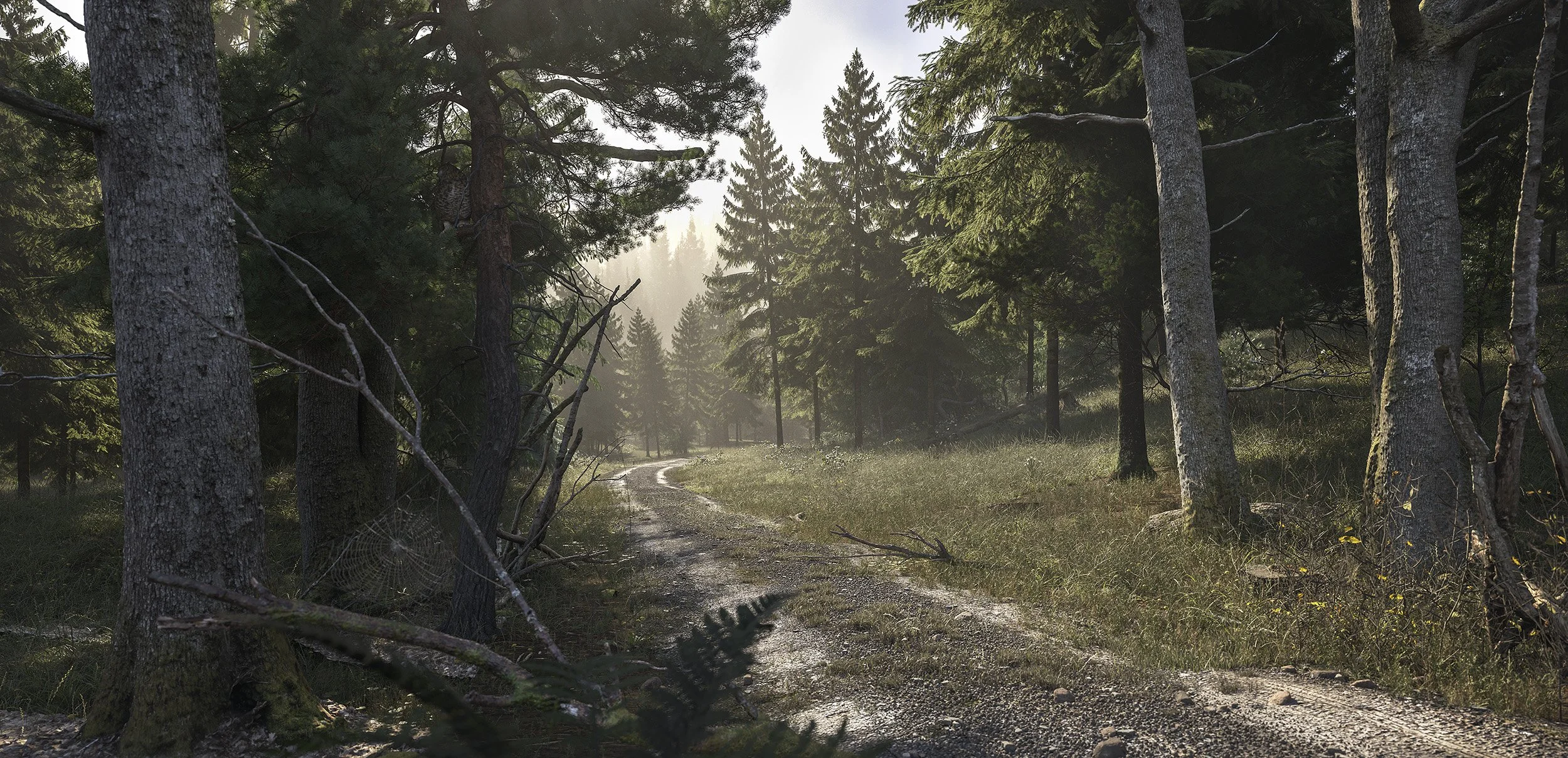 Forest_mountain1.jpg