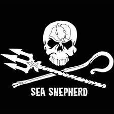 Sea Shepheard