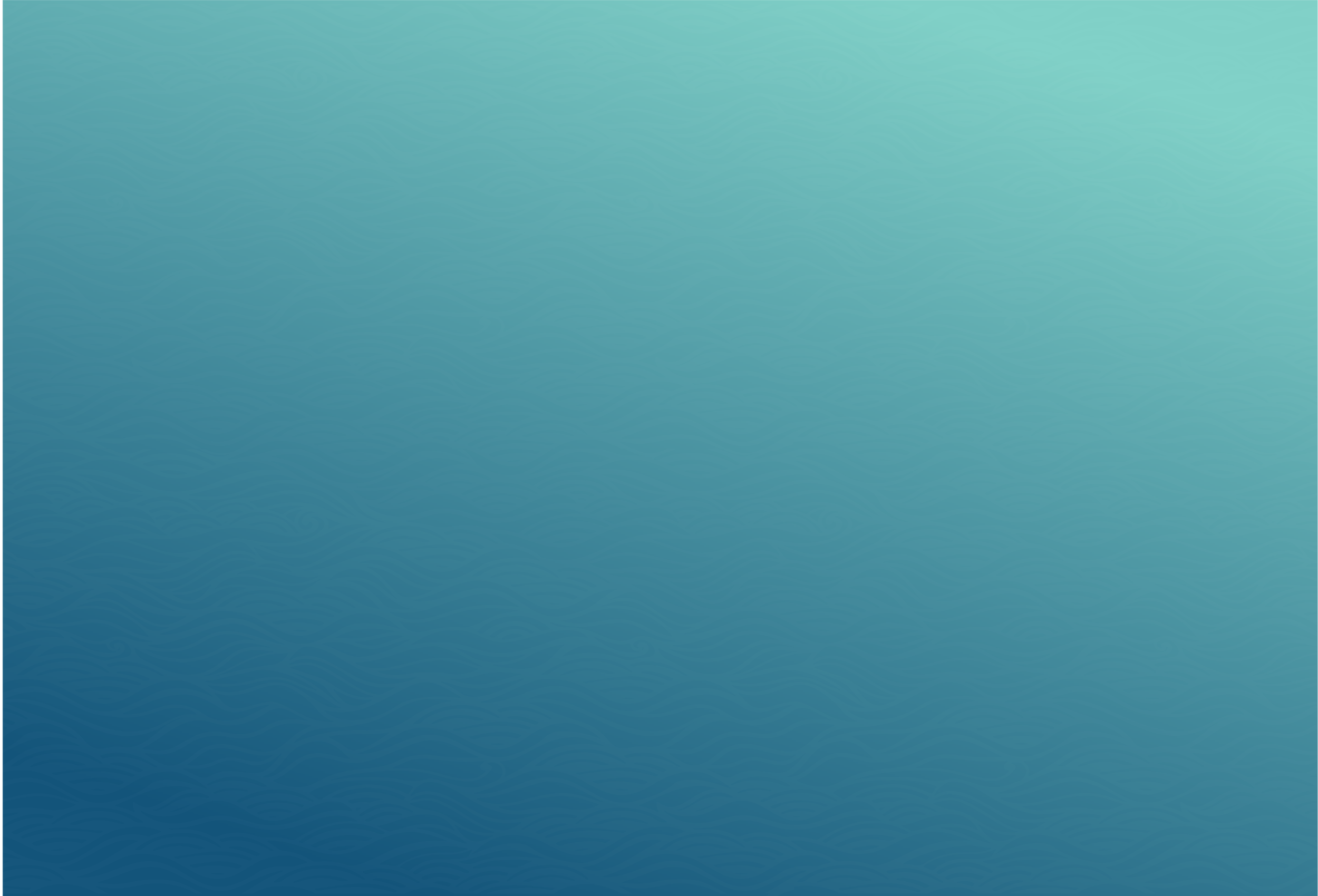 Asset 24.png