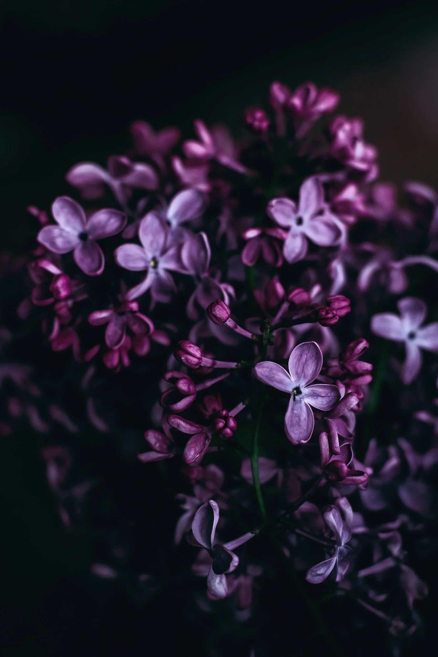 unsplash-image-i07ss4dGzIo.jpg