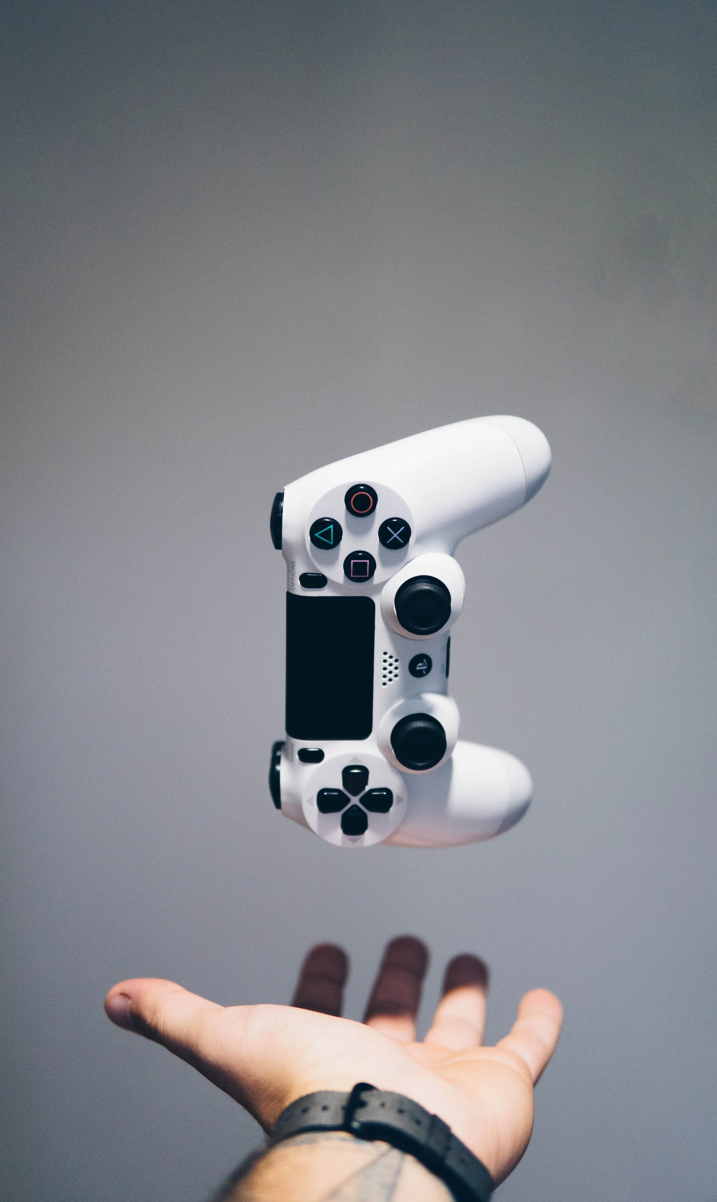 Photo by Nikita Kachanovsky on Unsplash