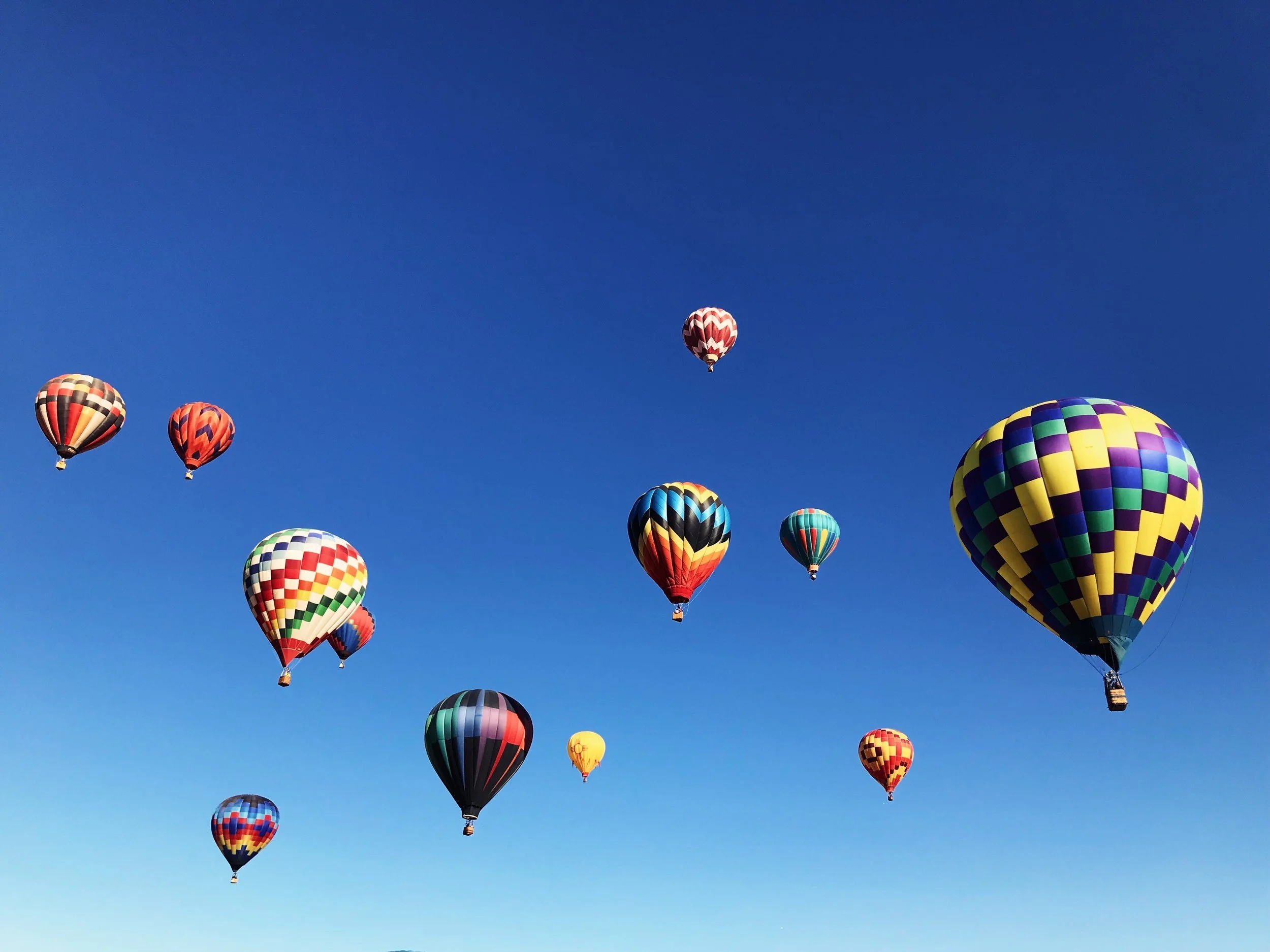 Photo by Morgan Von Gunten on Unsplash