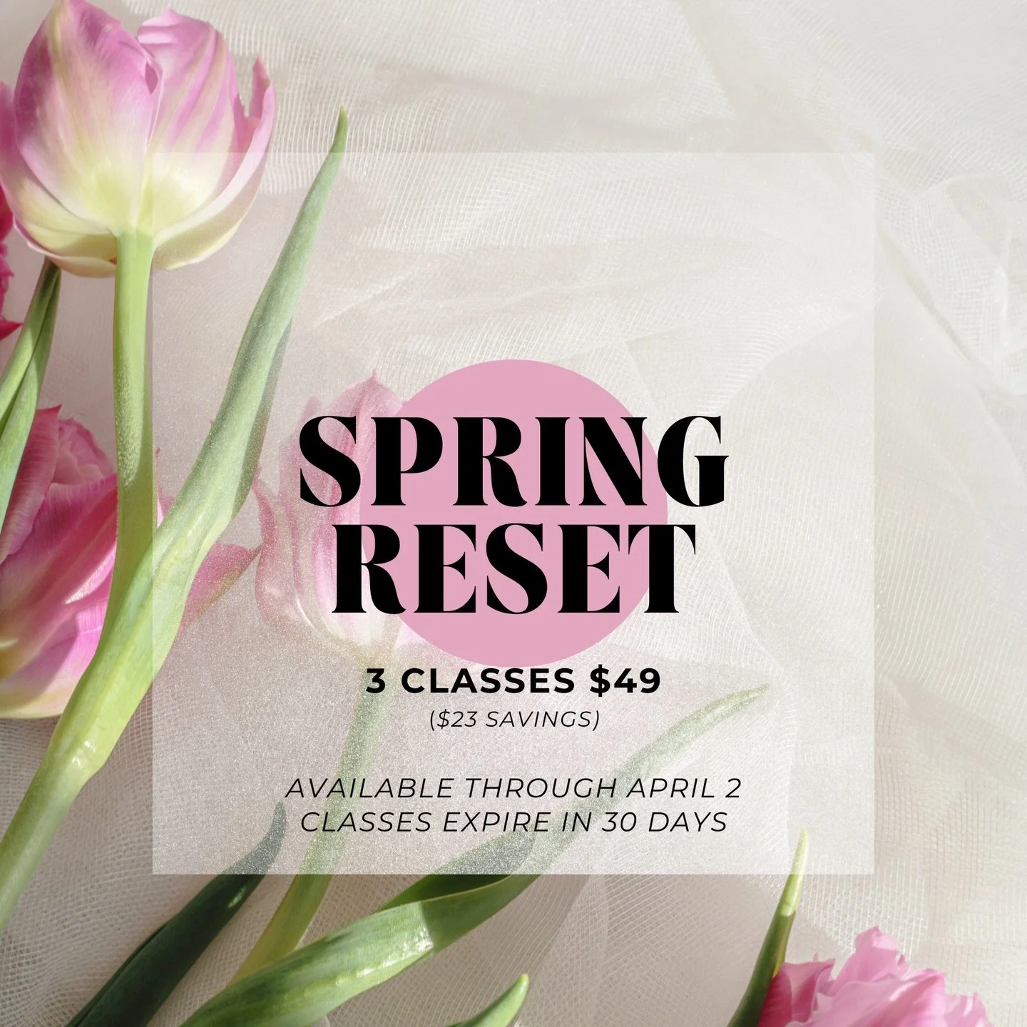 Your spring reset starts here.🌷
3 classes, $49.
A small reset can change everything.

#secretphysique #spring #reset