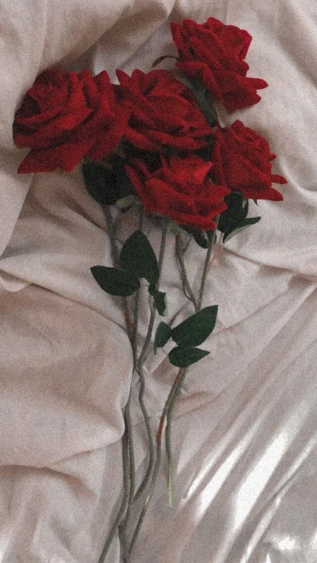 EFDD25D1-A34E-403D-8604-1CCD8D15EF1F