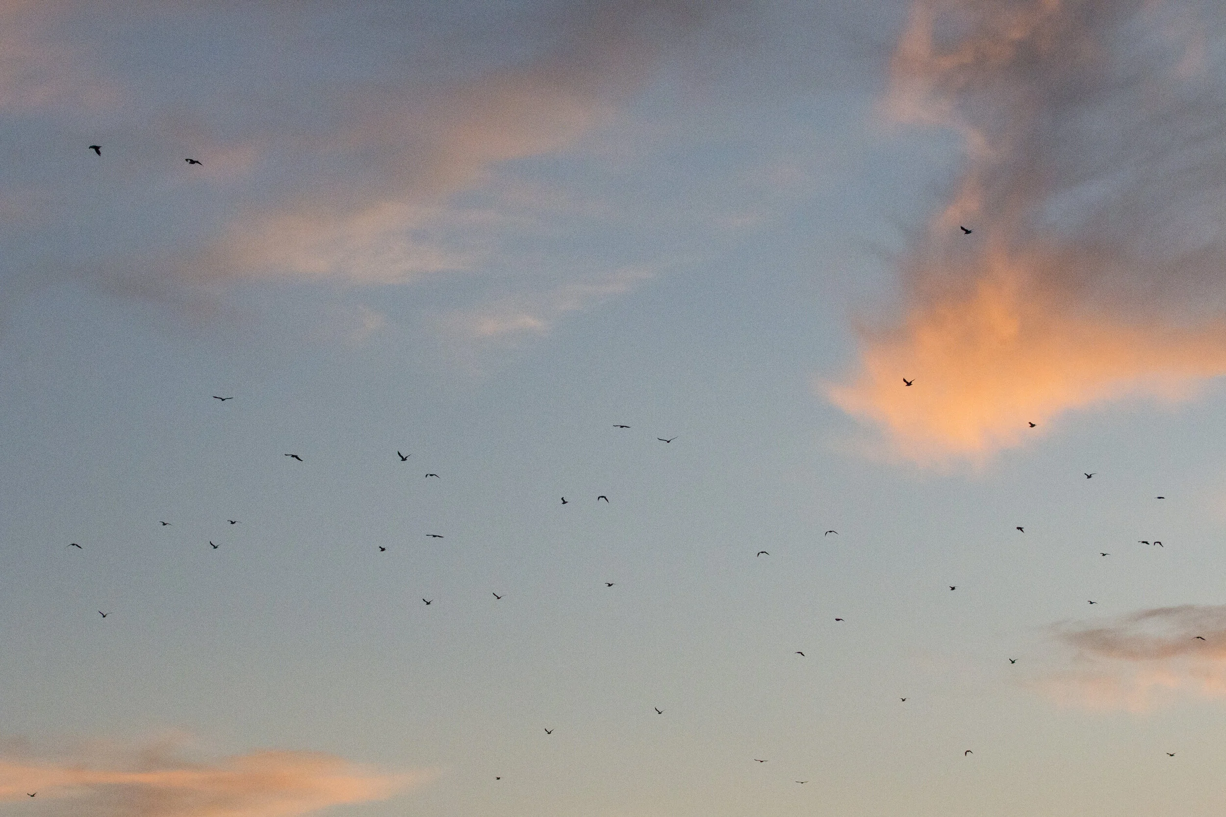 Holland State Park85.JPG