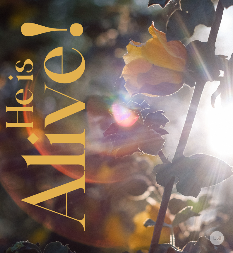 Screenshot 2026-01-15 185343.png