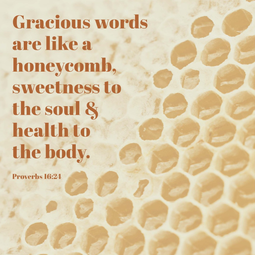 Screenshot 2026-01-15 185905.png