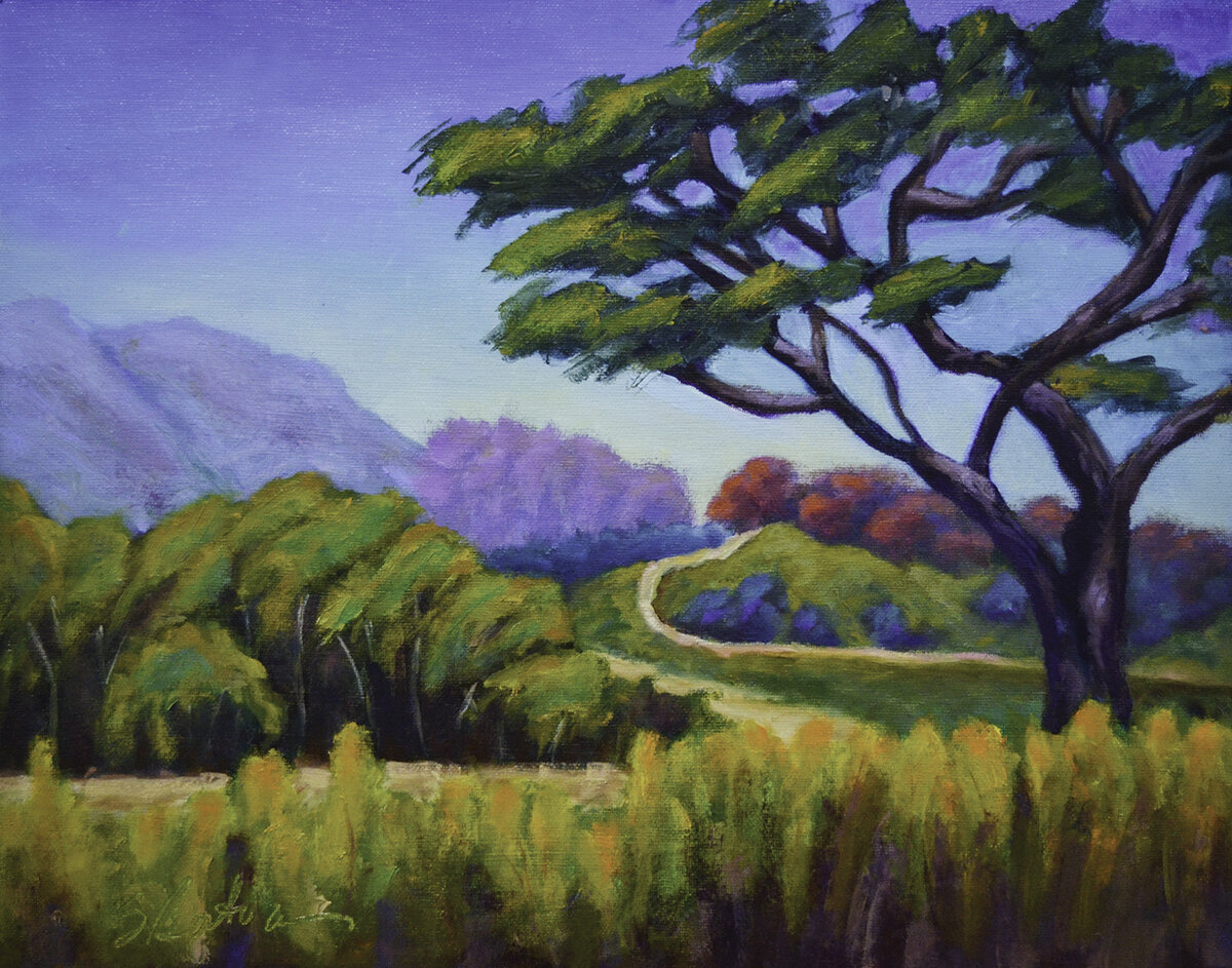 Canyon Road-2-Edit_lores.jpg