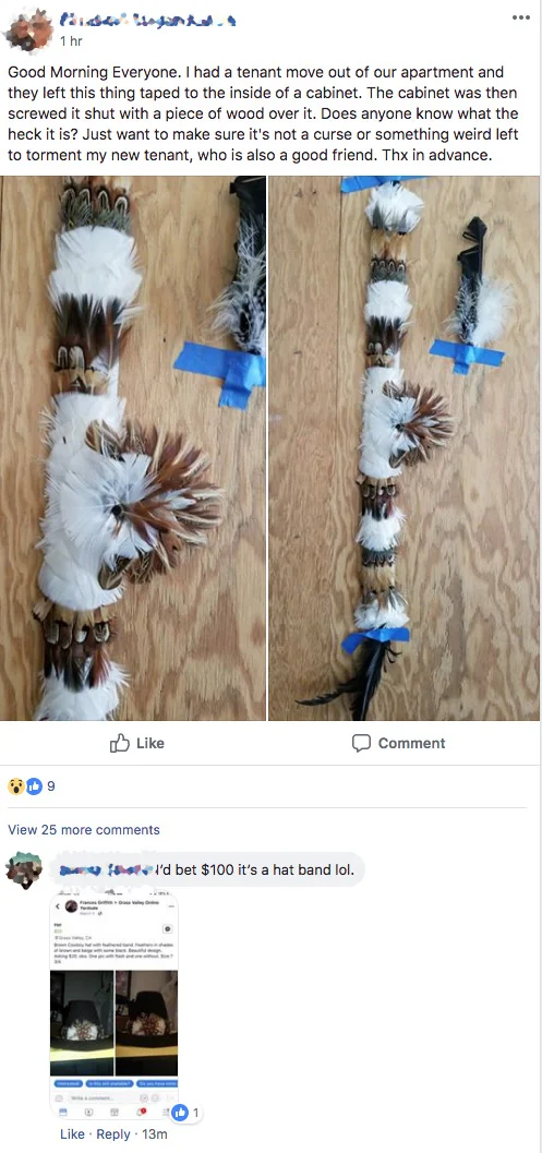 HometownHorror_featheredCurse.jpg