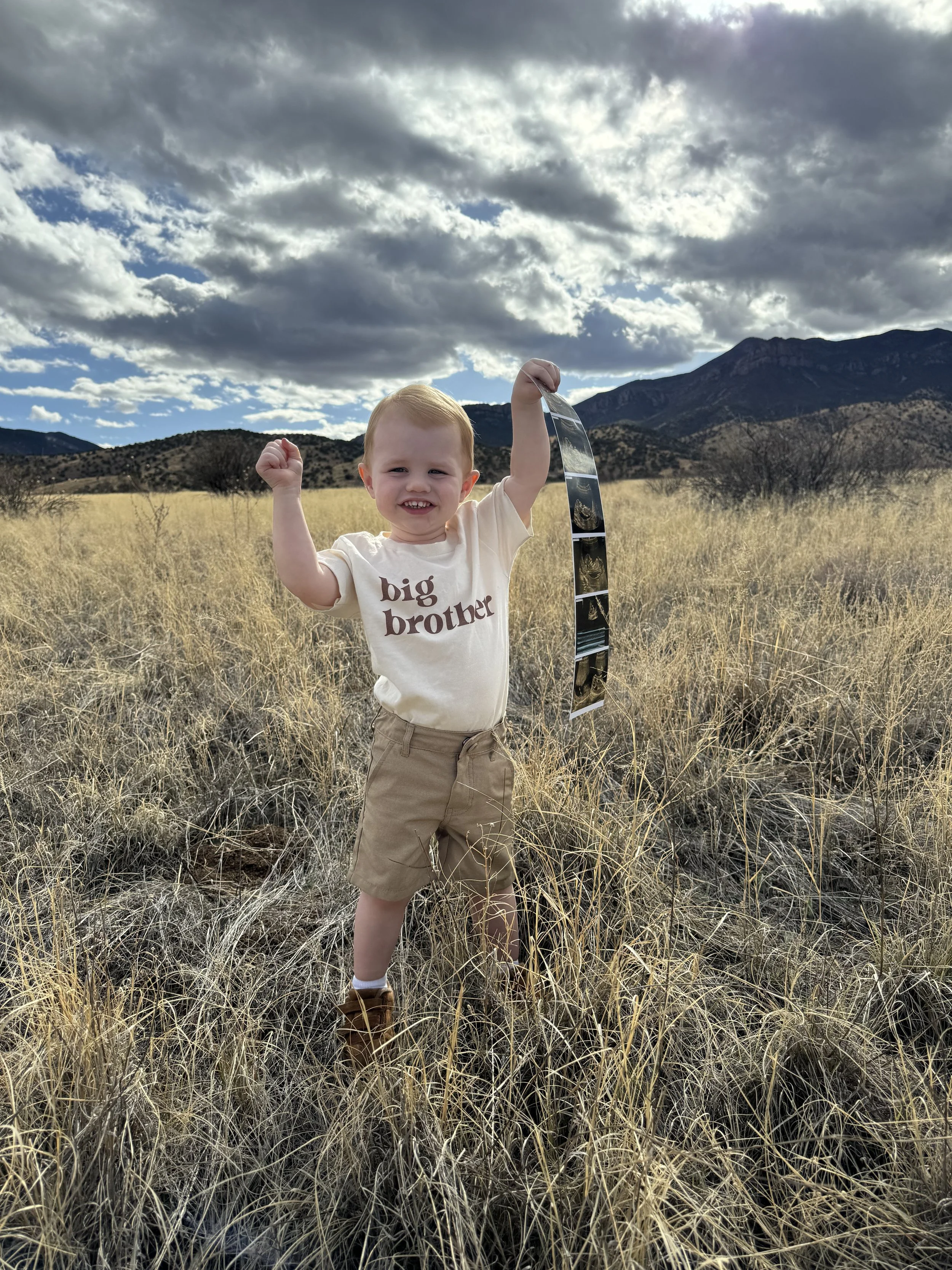The Road to Baby #2