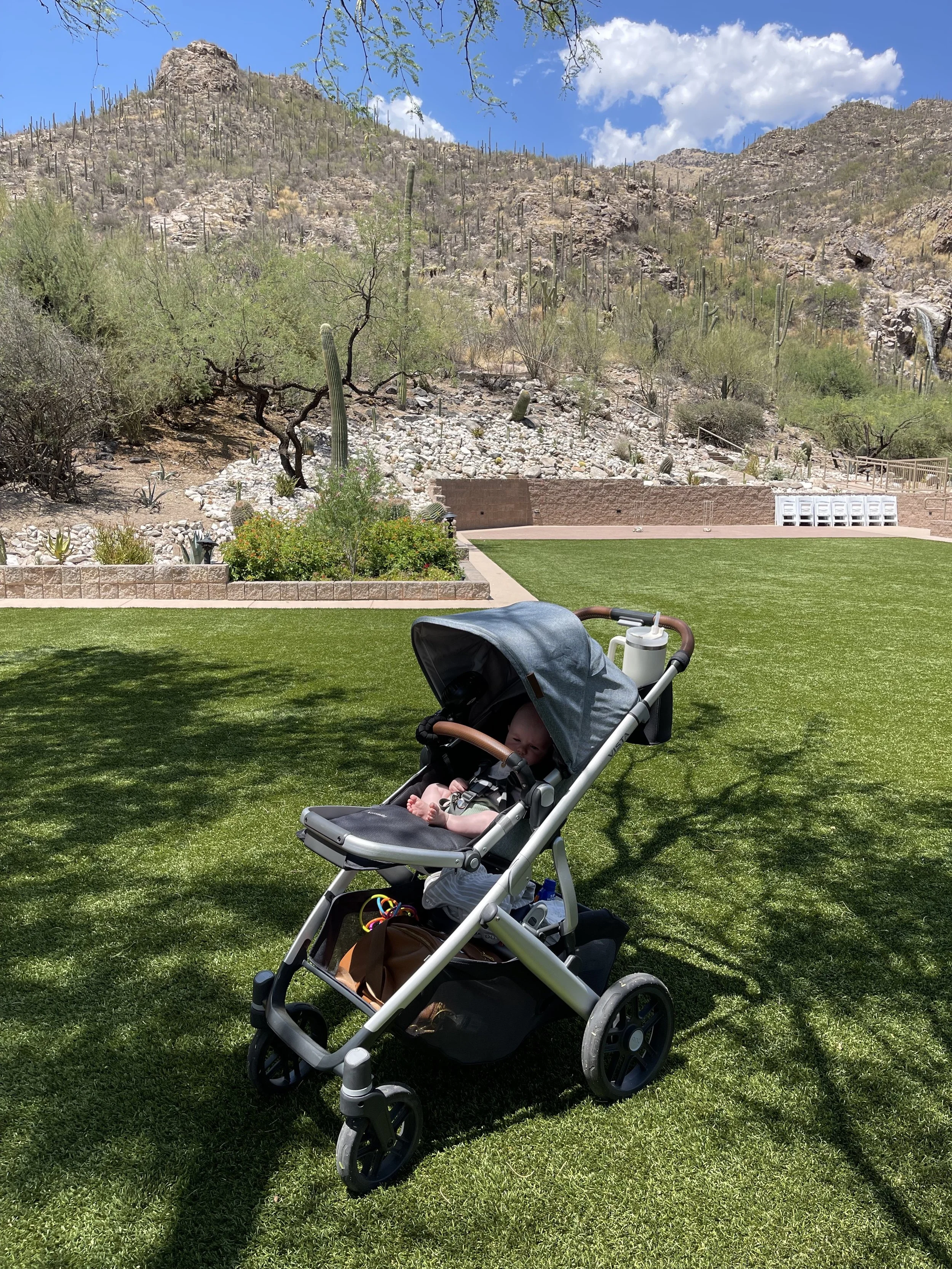Review of the Uppababy Vista V2