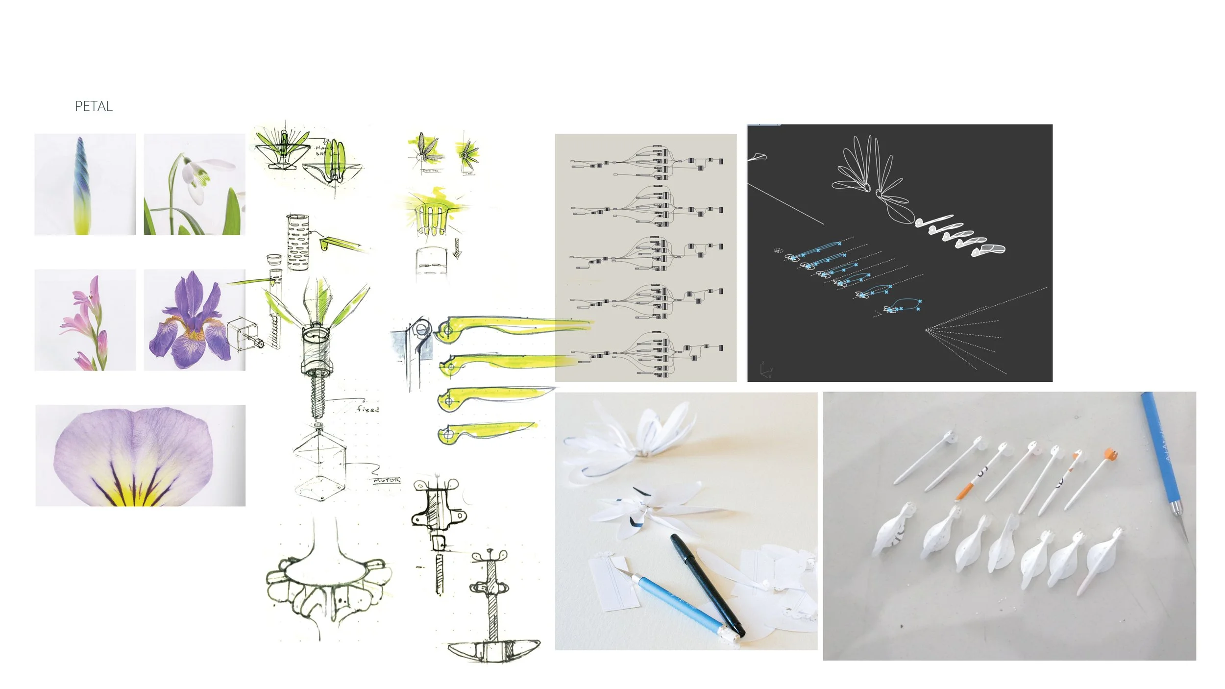 Final Presentation_Behance 07.jpg