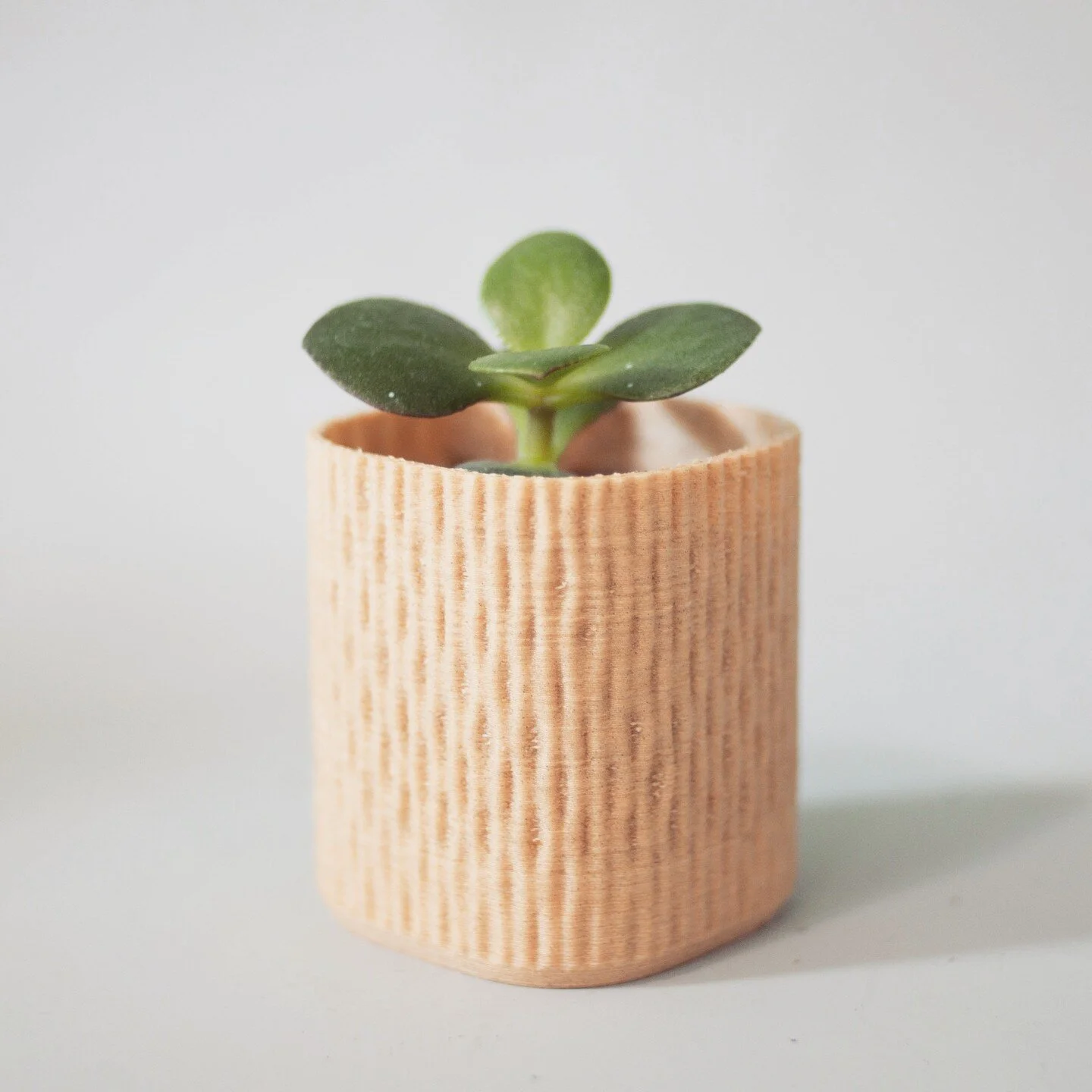First print outs of the different patterns variations. Decided to make these into planters for our succulents 

#grasshopper3d, #protopasta, #industrialdesign, #computationaldesign