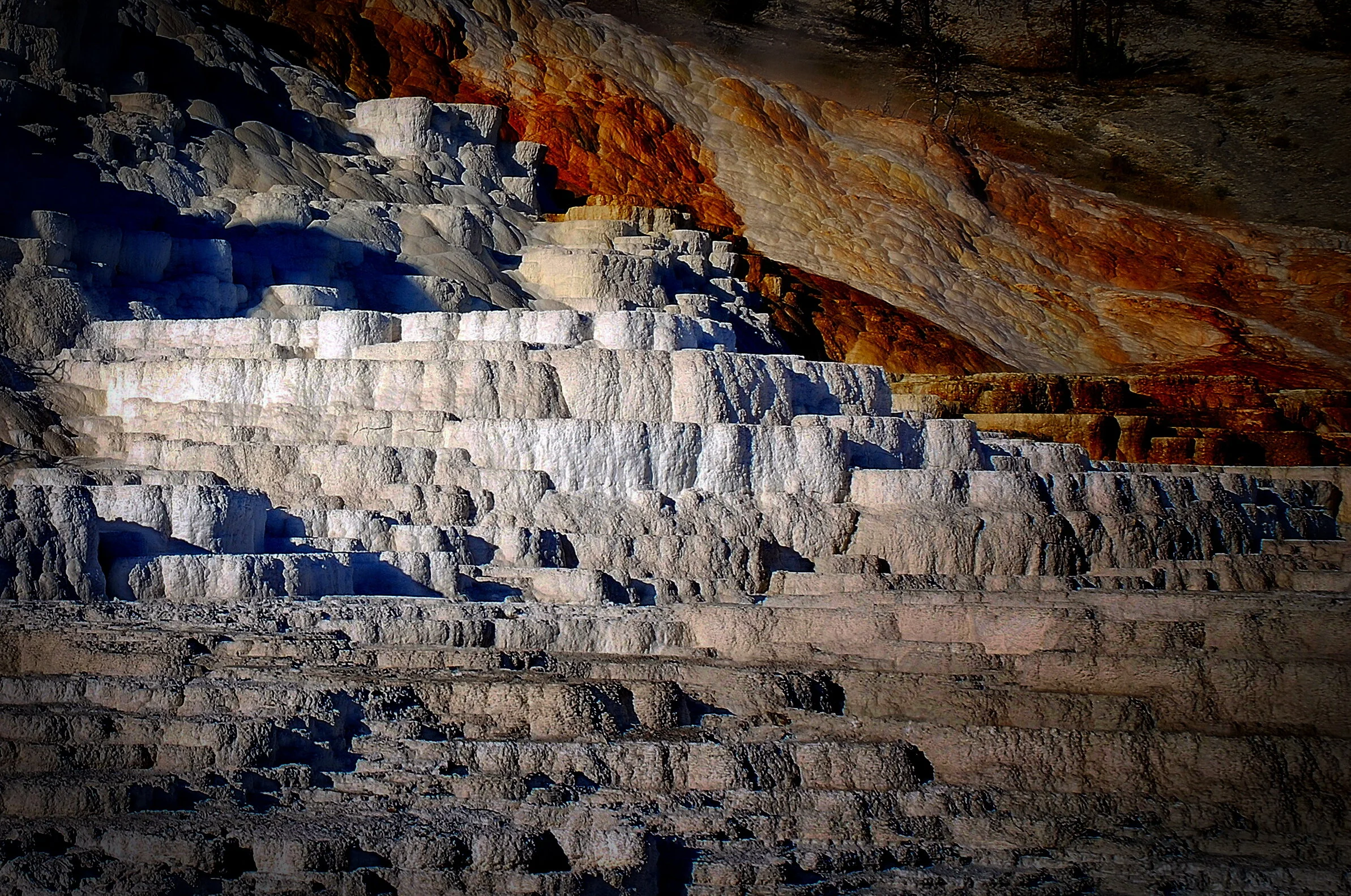 Mammoth Springs Yellowstone.jpg