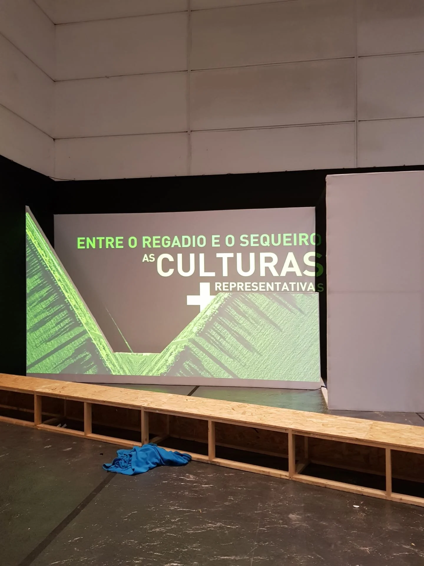 WhatsApp Image 2021-01-21 at 17.33.08 (1).jpeg