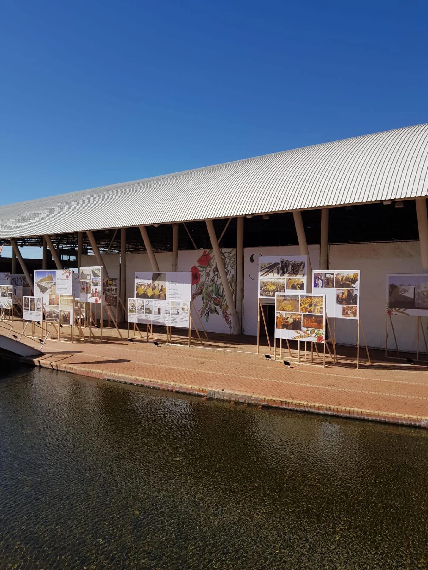 WhatsApp Image 2021-01-21 at 17.34.21.jpeg