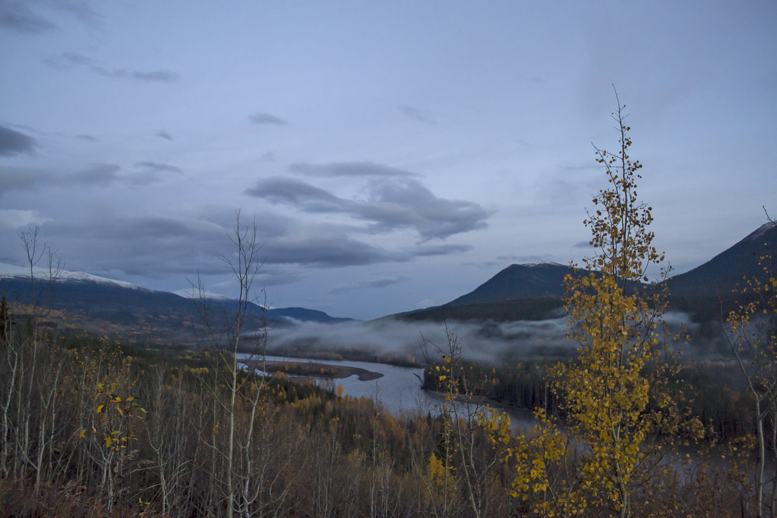 DSC_0739.jpg