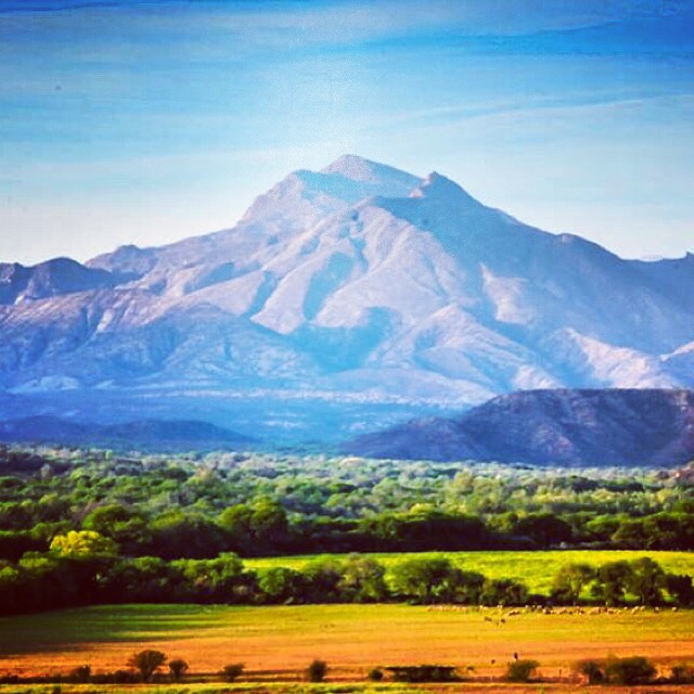 Artified view of Mt Crestone - Copy - Copy - Copy - Copy - Copy - Copy.JPG