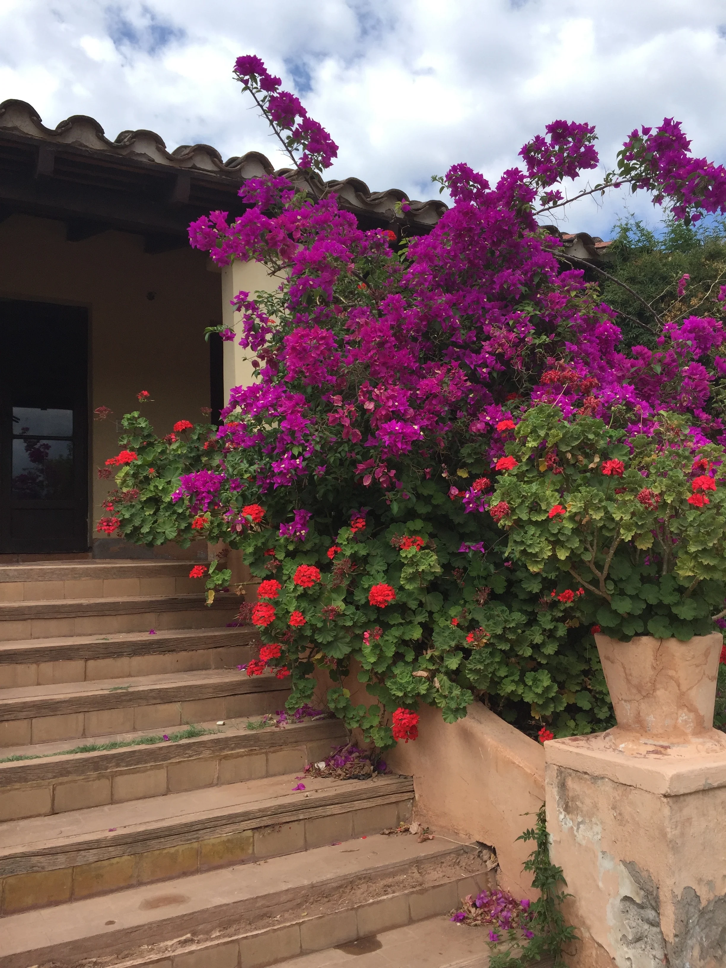 Colonial House Step Flowers - Copy - Copy - Copy - Copy - Copy - Copy.jpg