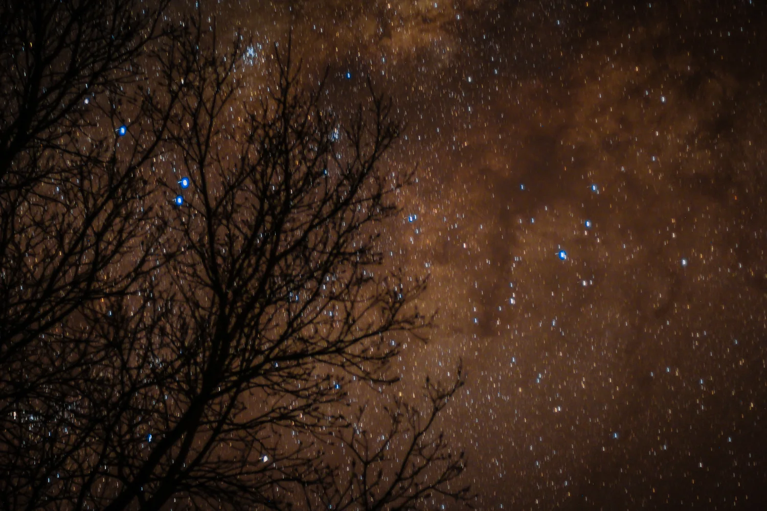 CV Night Sky 2 - Copy - Copy - Copy - Copy - Copy - Copy.jpg