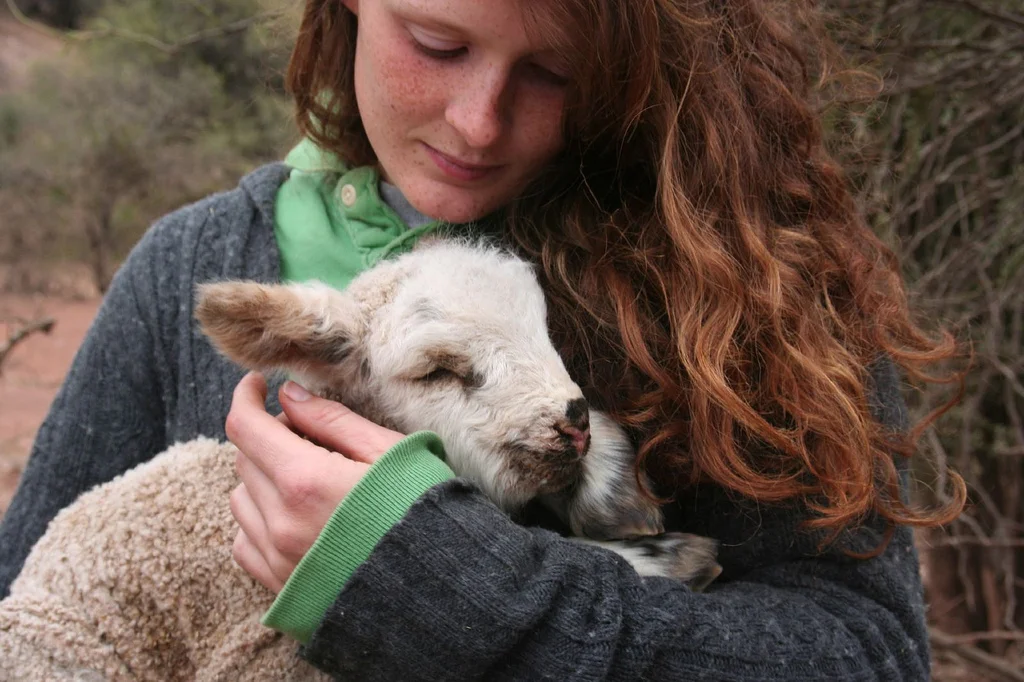Girl and Lamb - Copy - Copy - Copy - Copy - Copy - Copy.jpg