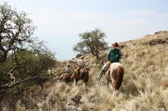 Horse & Rider on Trail - Copy - Copy - Copy - Copy - Copy.jpg