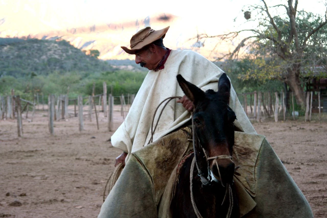 Old Gaucho by Vineyards - Copy - Copy - Copy - Copy.jpg