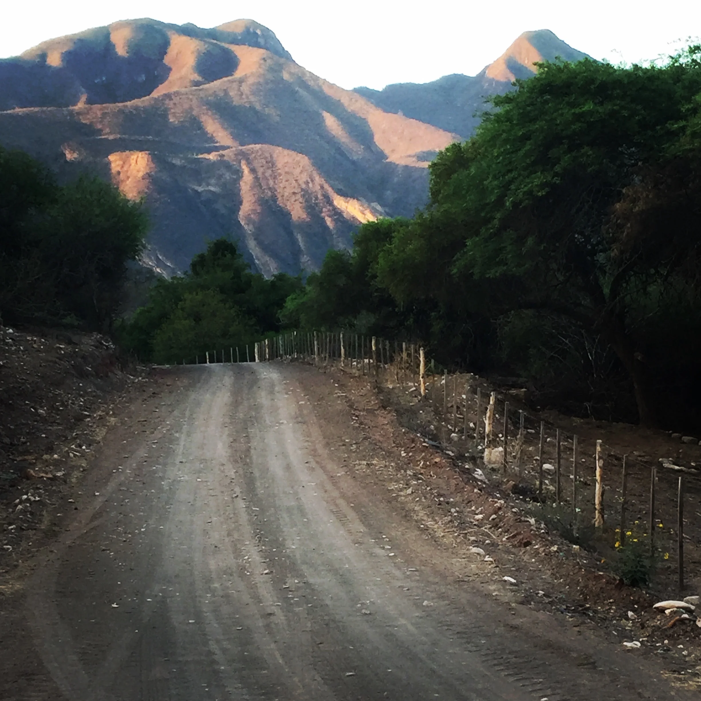 Road & Mountain - Copy - Copy - Copy - Copy.jpg