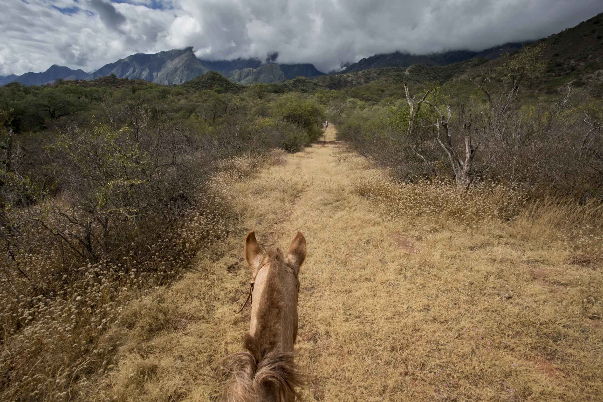 Riding through Condor Valley and towards Mount Creston