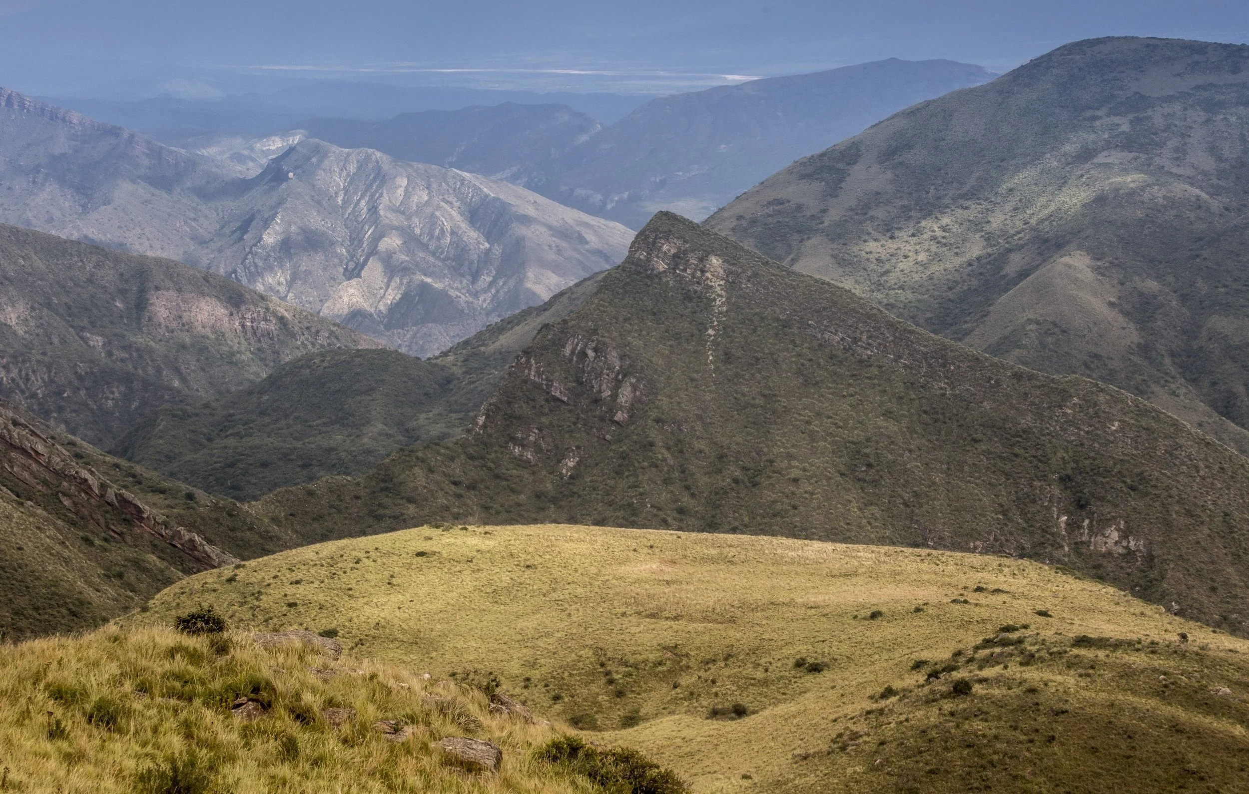 robin moore national geographic cactus salta condor valley view from mt creston.jpeg