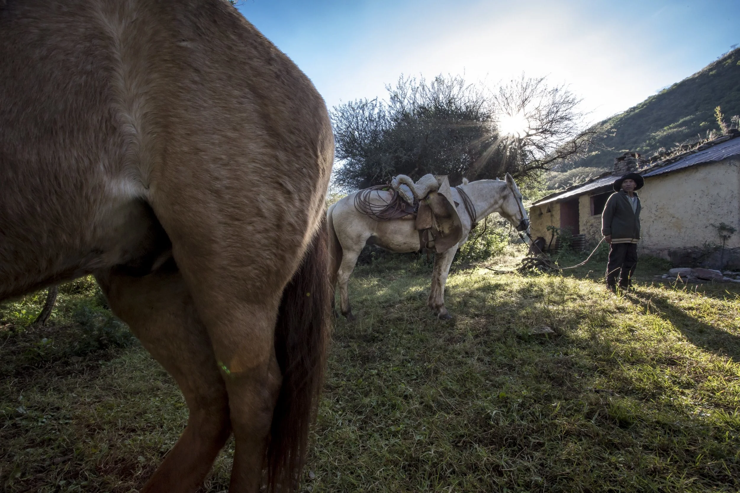 Don Antonio prepares the horses for the descent into the valley.
