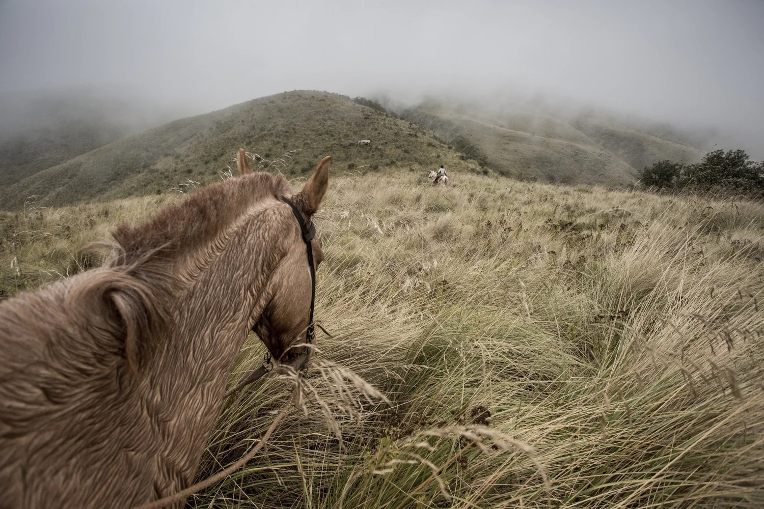 robin+moore+national+geographic+cactus+salta+condor+valley+horseback+adventure.jpeg