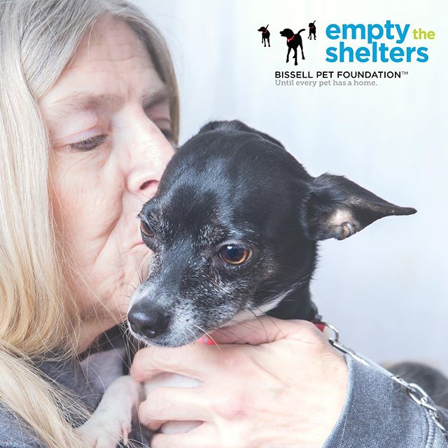 We can&rsquo;t imagine life without our rescue pups! We&rsquo;ll be volunteering photography services tomorrow to kick-off new friendships with free portraits at the Lakeshore Humane Society&rsquo;s Empty the Shelters adoption event from 11-3. @bisse