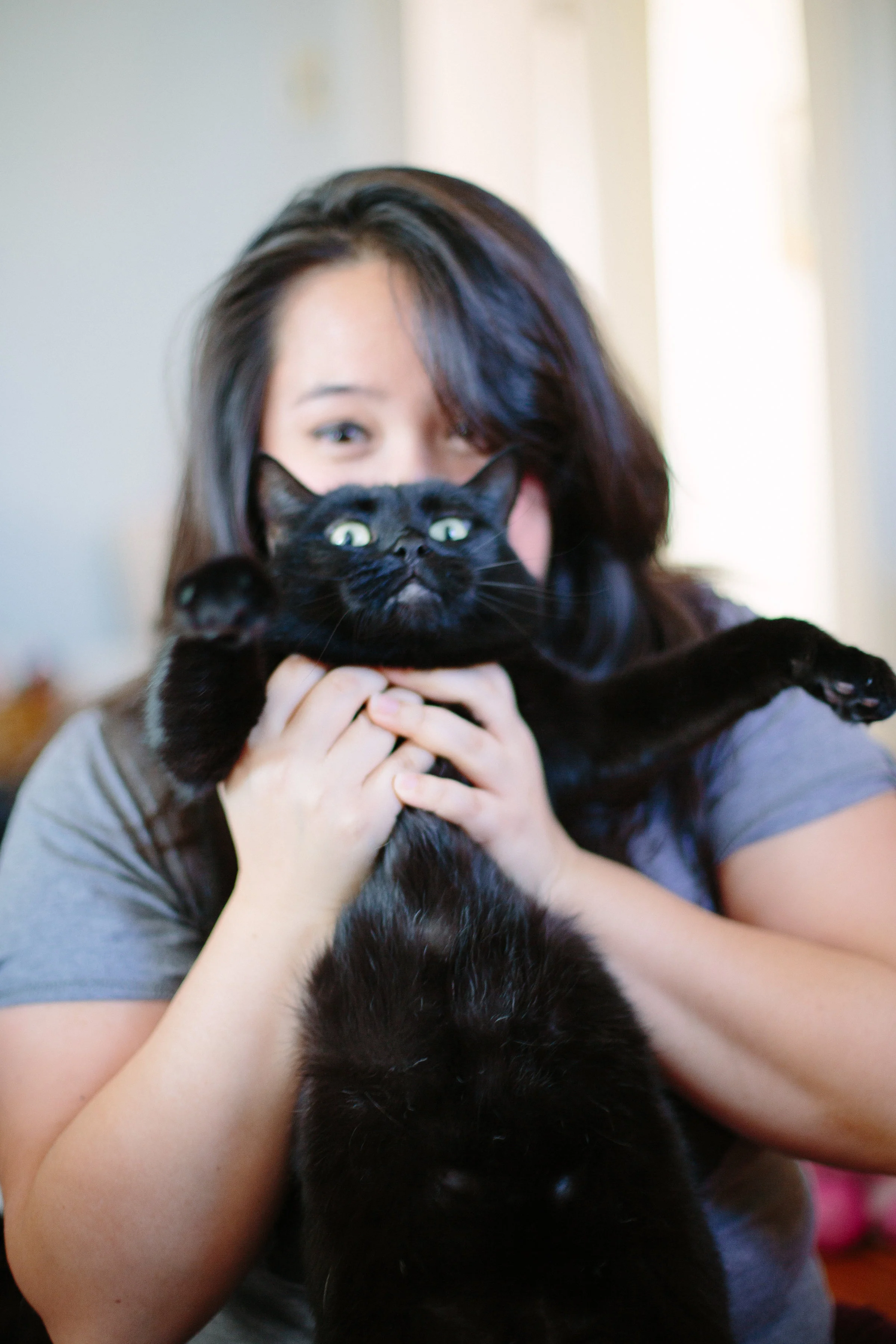 kitties-16.jpg