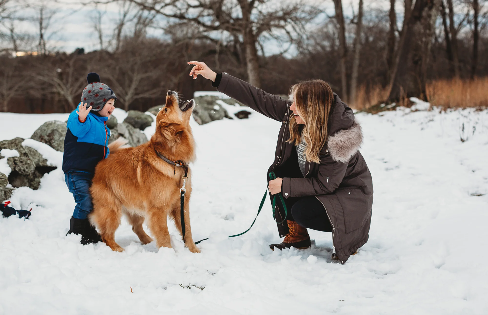 Family playing in the snow in Concord during portraits with Boston family photographer Joy LeDuc.