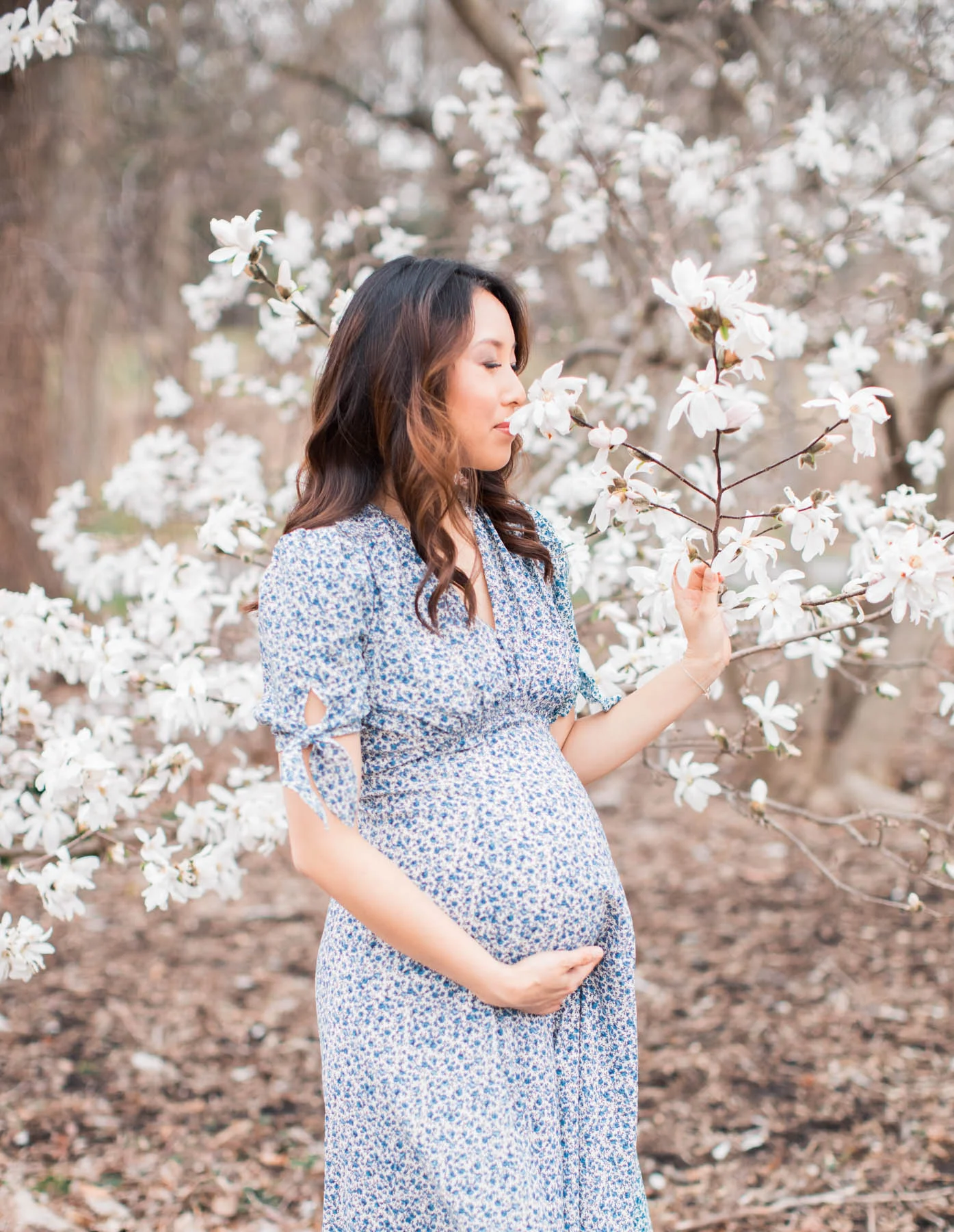 Chasing the Blossoms in Boston | Boston Maternity Photographer