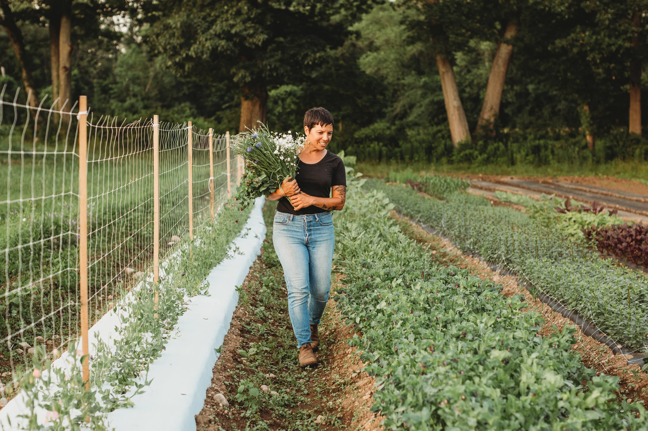 Golden hour session for flower farmer Mel Hardy in Concord, MA. Documenting her first season as the owner of Field Edge Flowers.