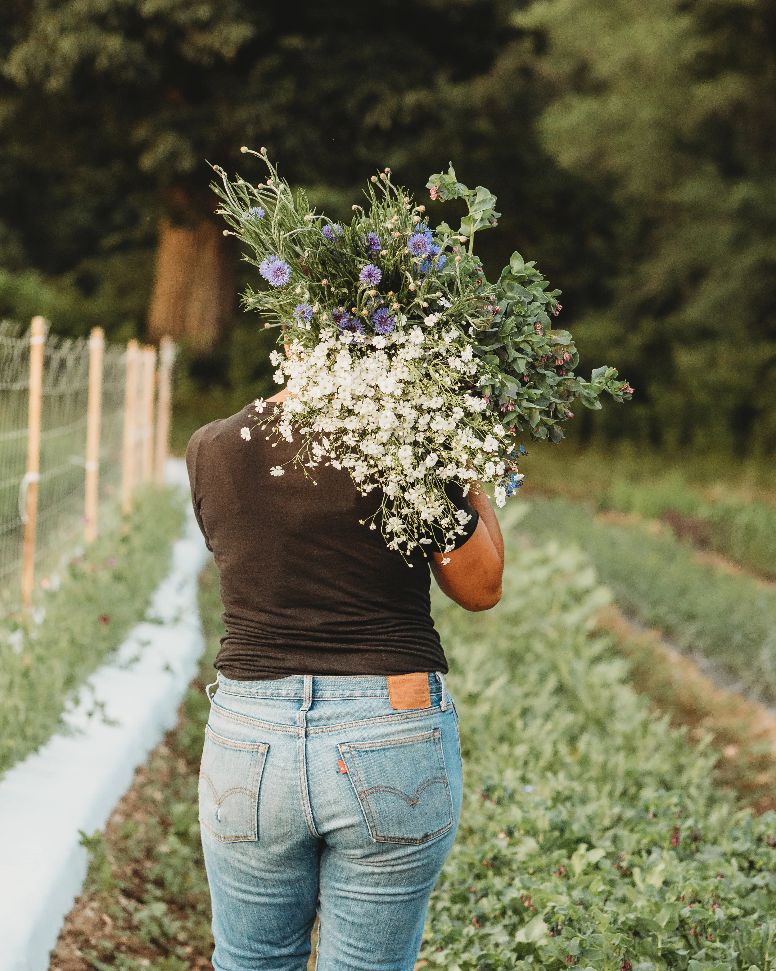 Mel Hardy, flower farmer, carrying an armload of flowers from her first season’s crop. Concord, Massachusetts small business branding photography.