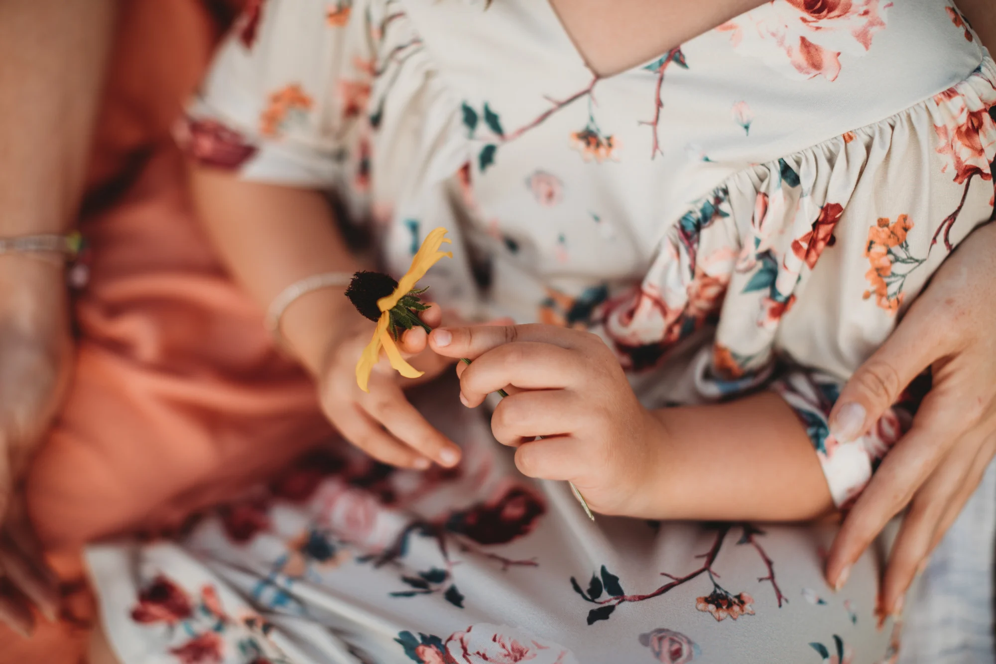 Close up of five-year-old girl holding a wildflower during her family portrait session in Framingham, Massachusetts. Greater Boston family portraits with natural light photography.