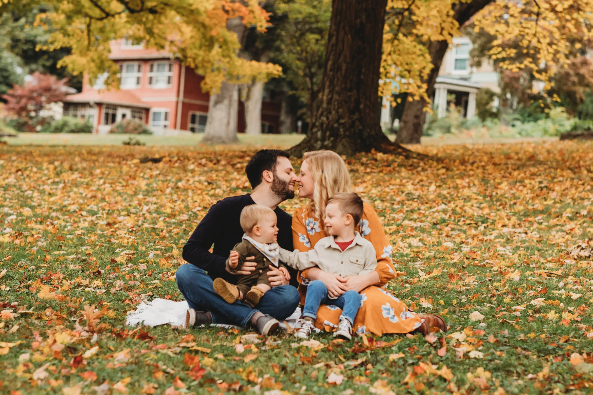 A beautiful family of four from Sudbury sitting beneath a bright colored tree during the busy fall family photography season. Mom and dad are smiling and almost kissing. Their sons are smiling at each other.