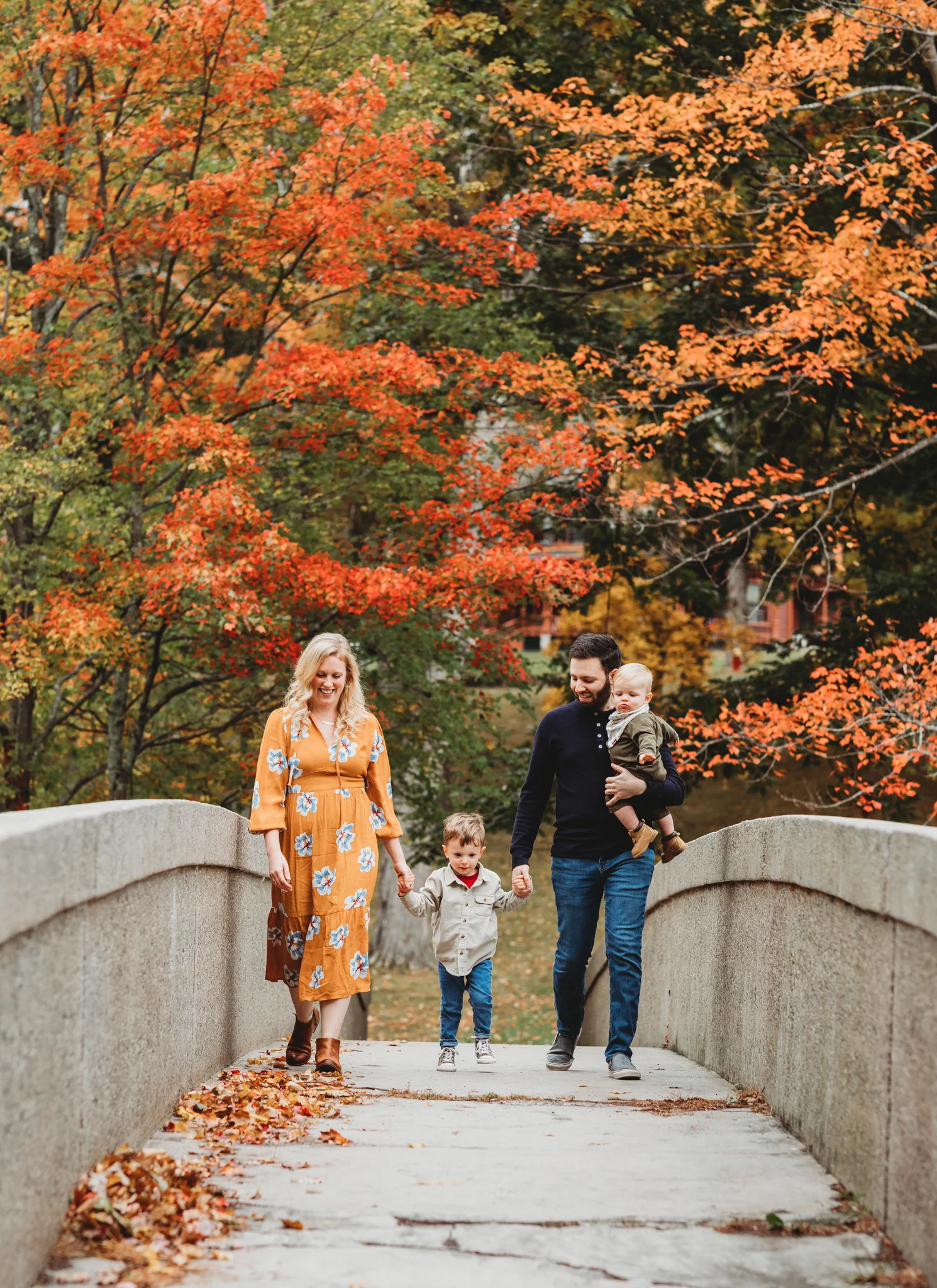 How to Score a Coveted Fall Foliage Photo Session | Sudbury Family Photographer