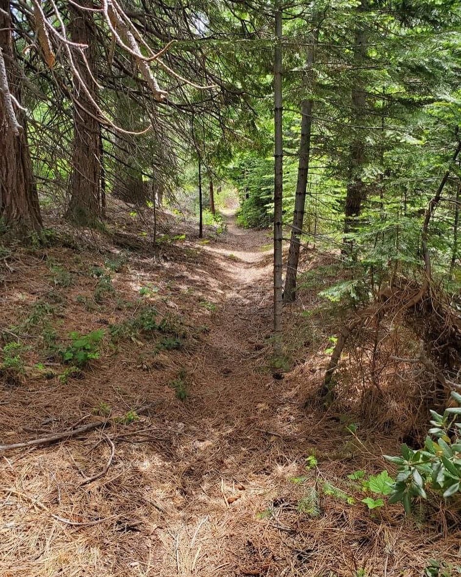 Come out this weekend and join a crew of 17 Bay Area trail work volunteers as they help us continue construction on Gateway Phase 2. 

Friday &amp; Saturday the crew will be working on the lower portion of the Sisson Trail (below McBride Springs). Su