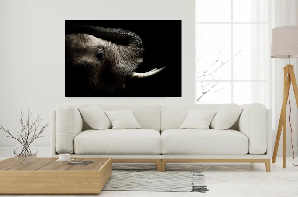 sample room elephant 1.jpeg