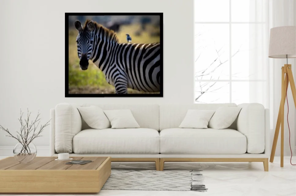 ride share frame 2.jpeg