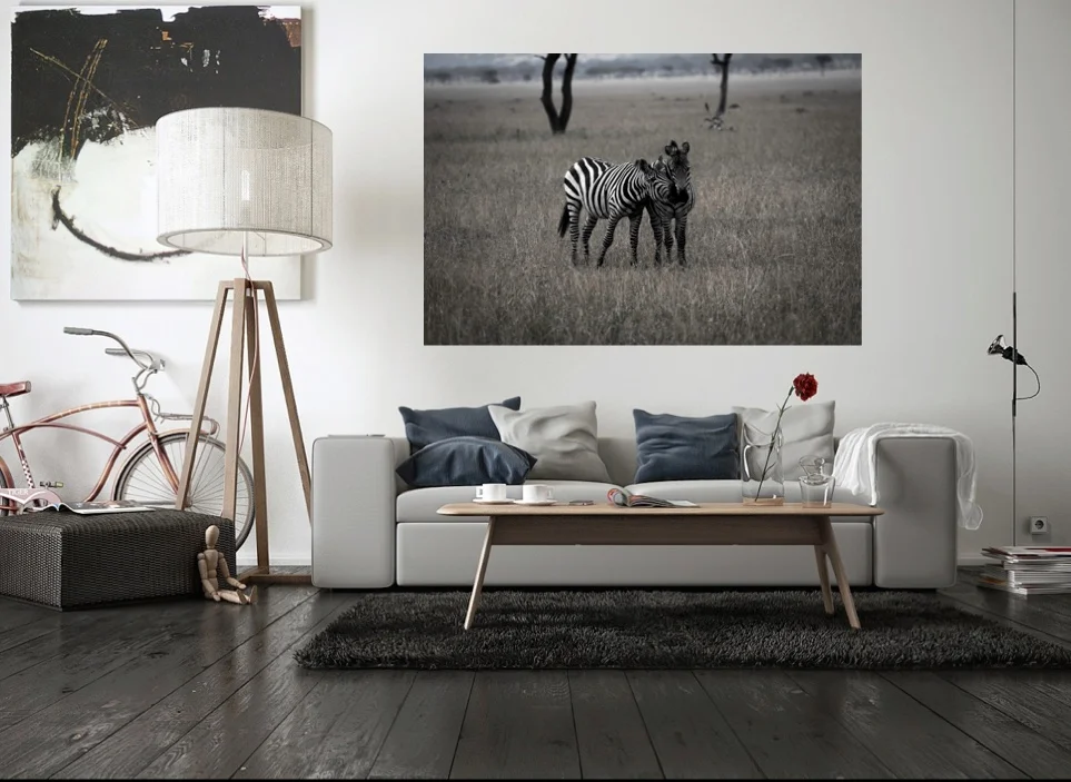 Zebra Kiss Wall.jpeg