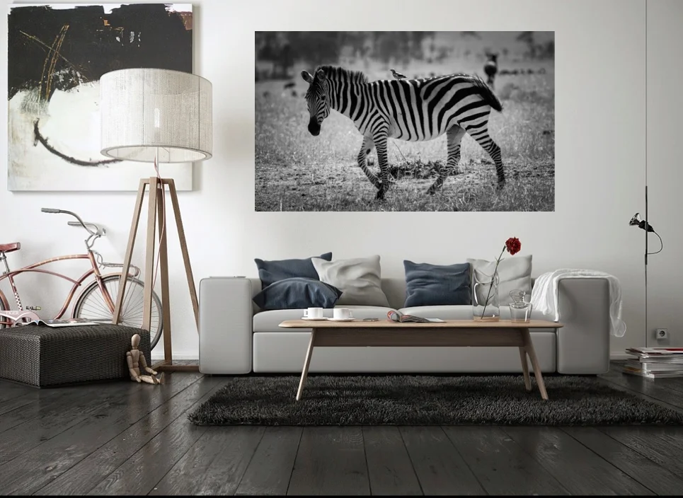 beak hiker wall.jpeg