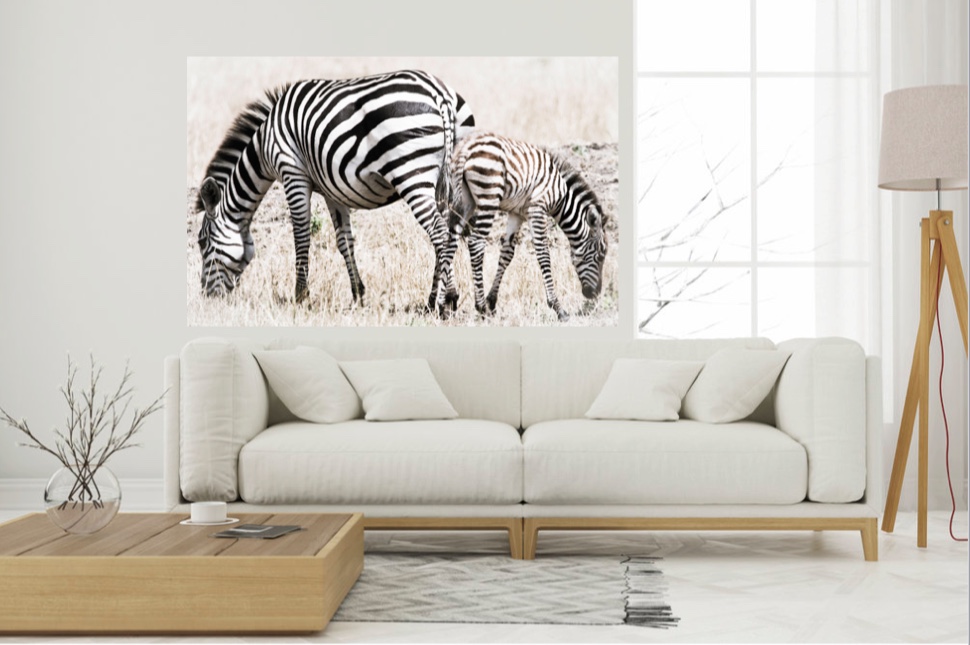 ass backwards wall 2.jpeg